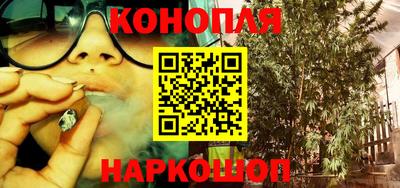 a pvp Можга