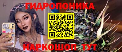 a pvp Можга