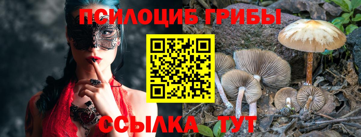 Галлюциногенные грибы Cubensis  Вход с VPN  Электрогорск 